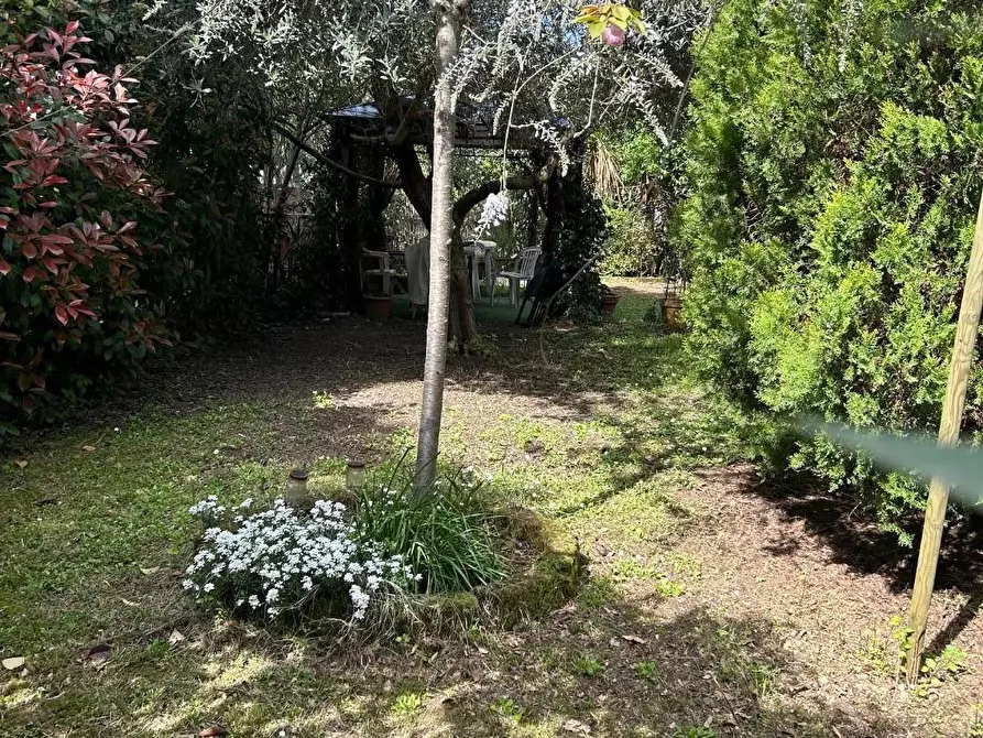 Immagine 24 di Appartamento in vendita  a Empoli