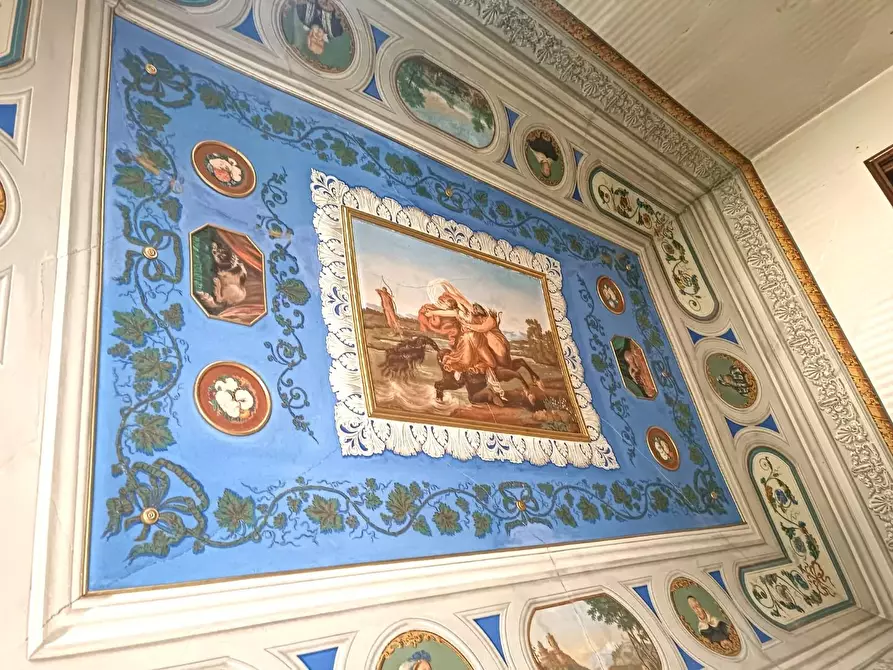 Immagine 19 di Mansarda in vendita  a Barga