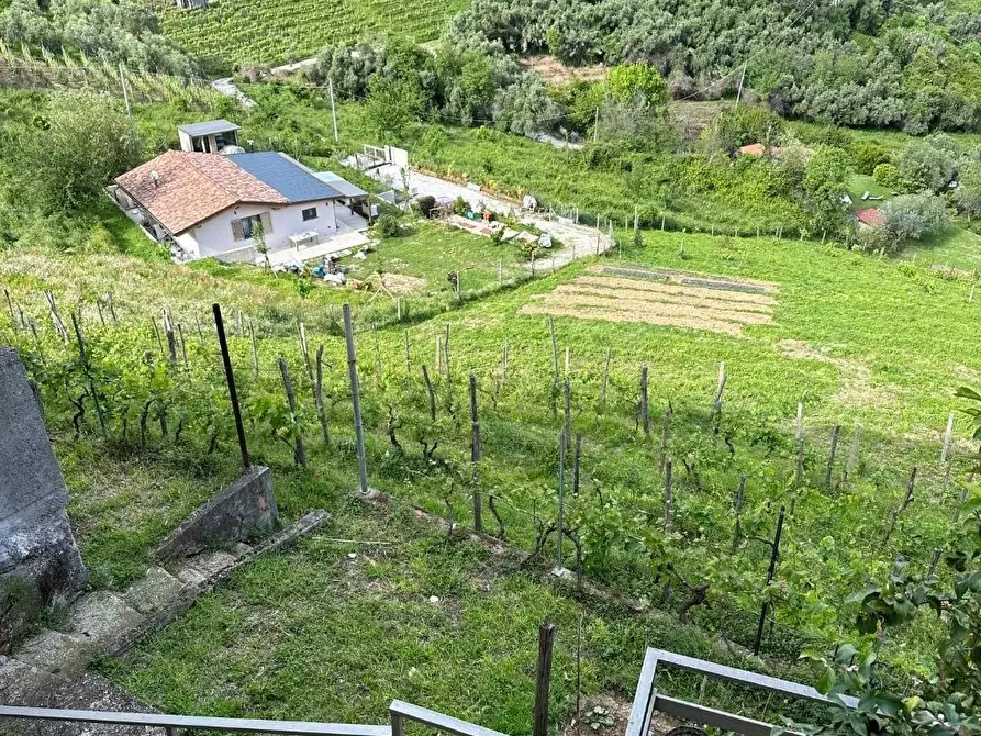 Immagine 15 di Casa bifamiliare in vendita  a Massa