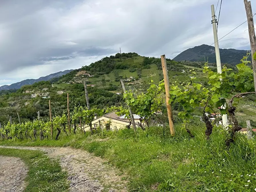Immagine 13 di Casa bifamiliare in vendita  a Massa