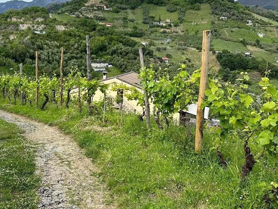 Immagine 11 di Casa bifamiliare in vendita  a Massa
