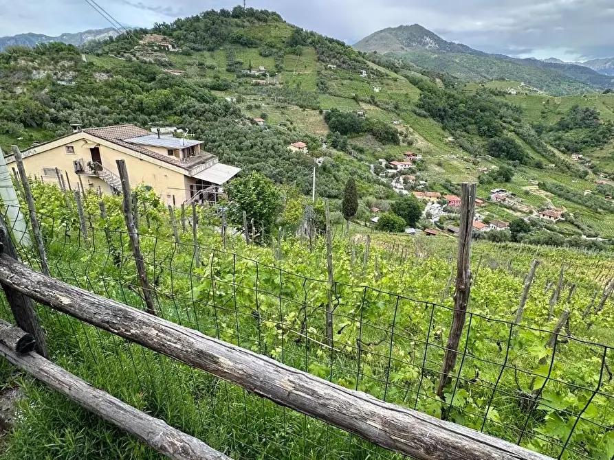 Immagine 9 di Casa bifamiliare in vendita  a Massa