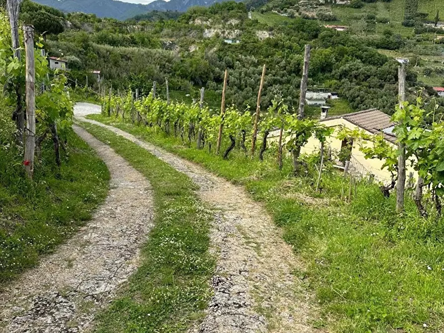 Immagine 12 di Casa bifamiliare in vendita  a Massa