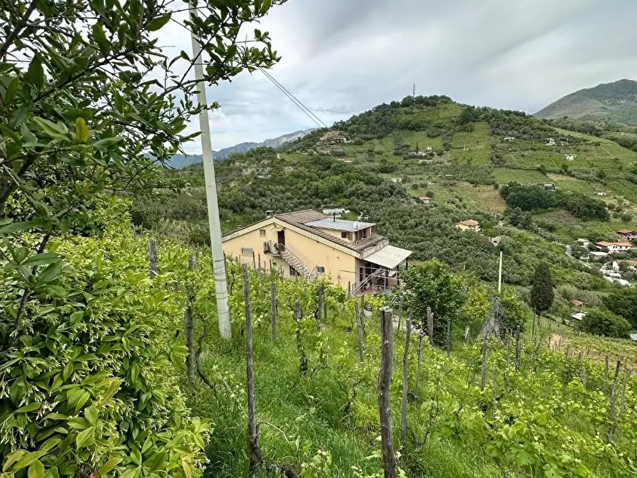 Immagine 4 di Casa bifamiliare in vendita  a Massa