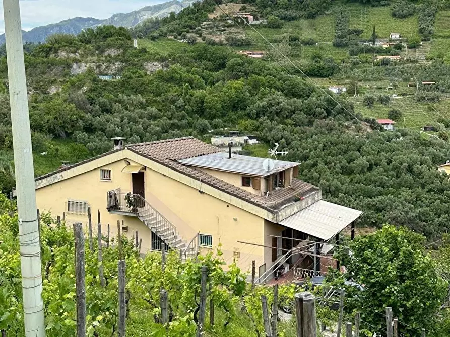 Immagine 5 di Casa bifamiliare in vendita  a Massa