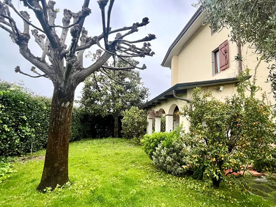 Immagine 23 di Casa trifamiliare in vendita  a Montignoso