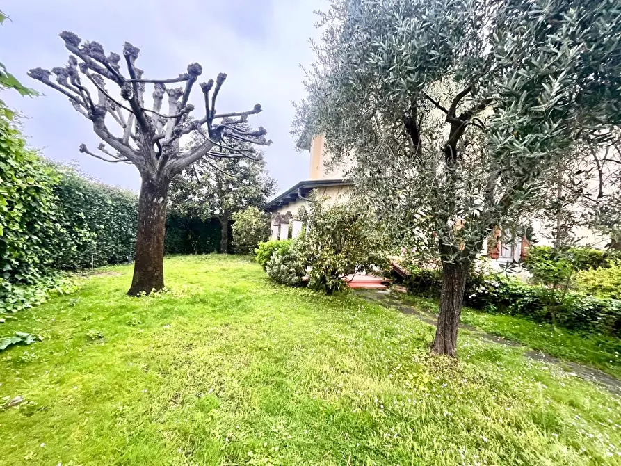 Immagine 21 di Casa trifamiliare in vendita  a Montignoso