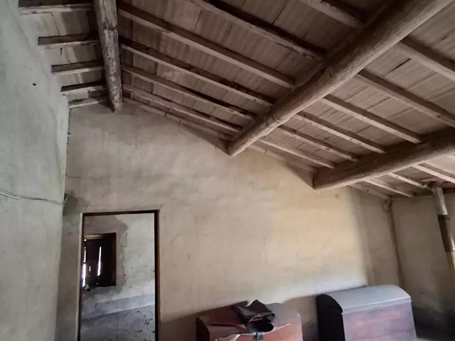 Immagine 31 di Terratetto in vendita  a Capraia E Limite