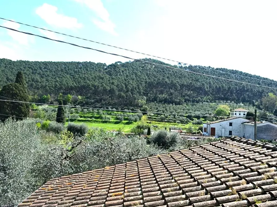 Immagine 39 di Casa indipendente in vendita  a Capannori