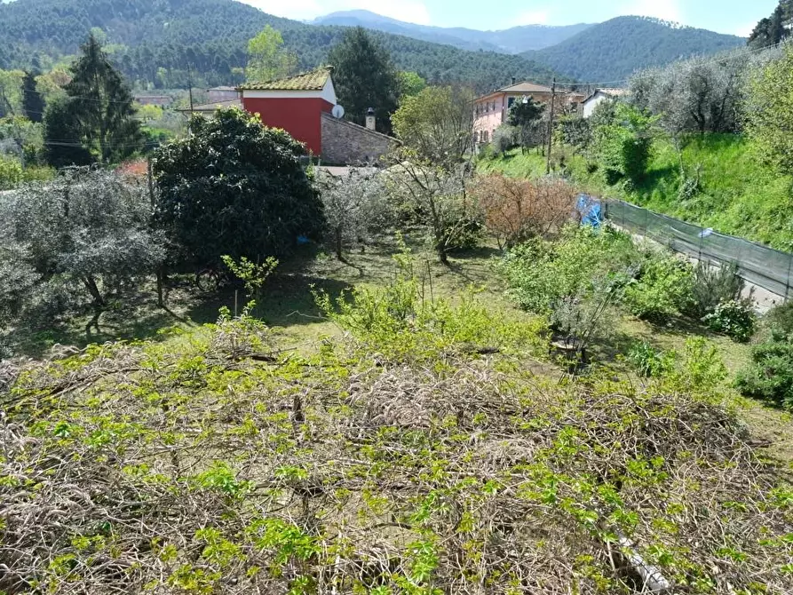 Immagine 47 di Casa indipendente in vendita  a Capannori