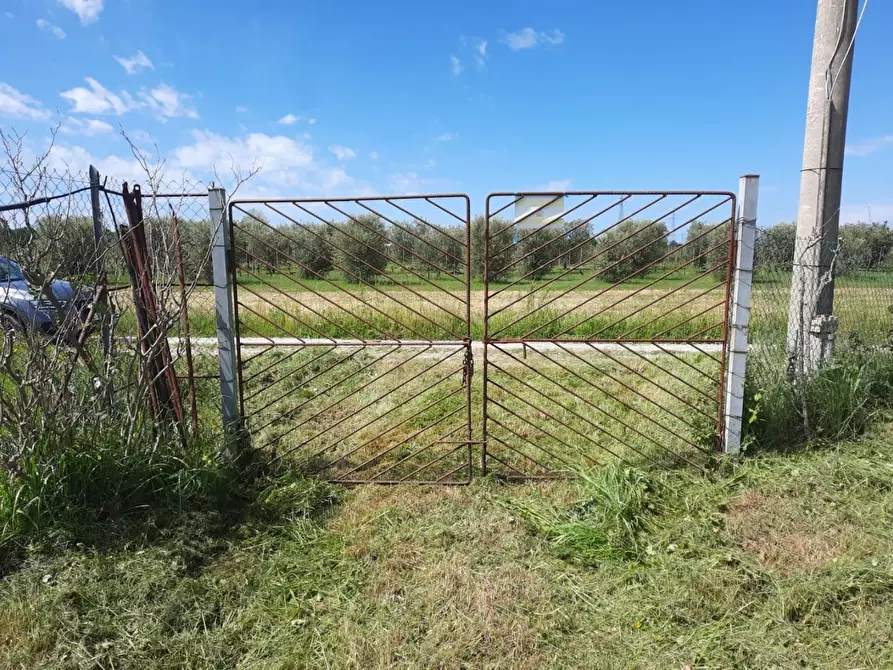 Immagine 4 di Terreno agricolo in vendita  a Cascina