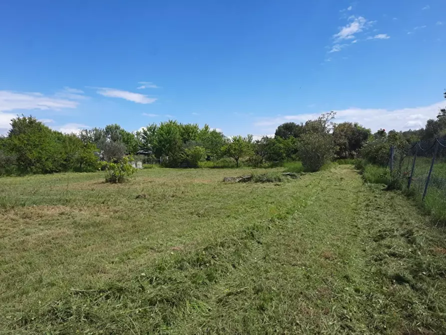 Immagine 1 di Terreno agricolo in vendita  a Cascina