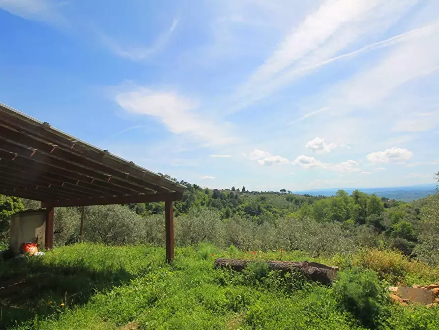 Immagine 39 di Casa colonica in vendita  a Vinci