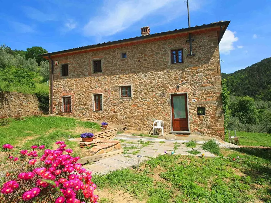 Immagine 2 di Casa colonica in vendita  a Vinci