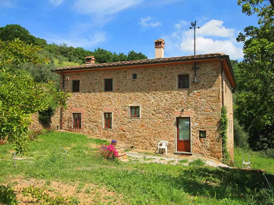 Immagine 43 di Casa colonica in vendita  a Vinci
