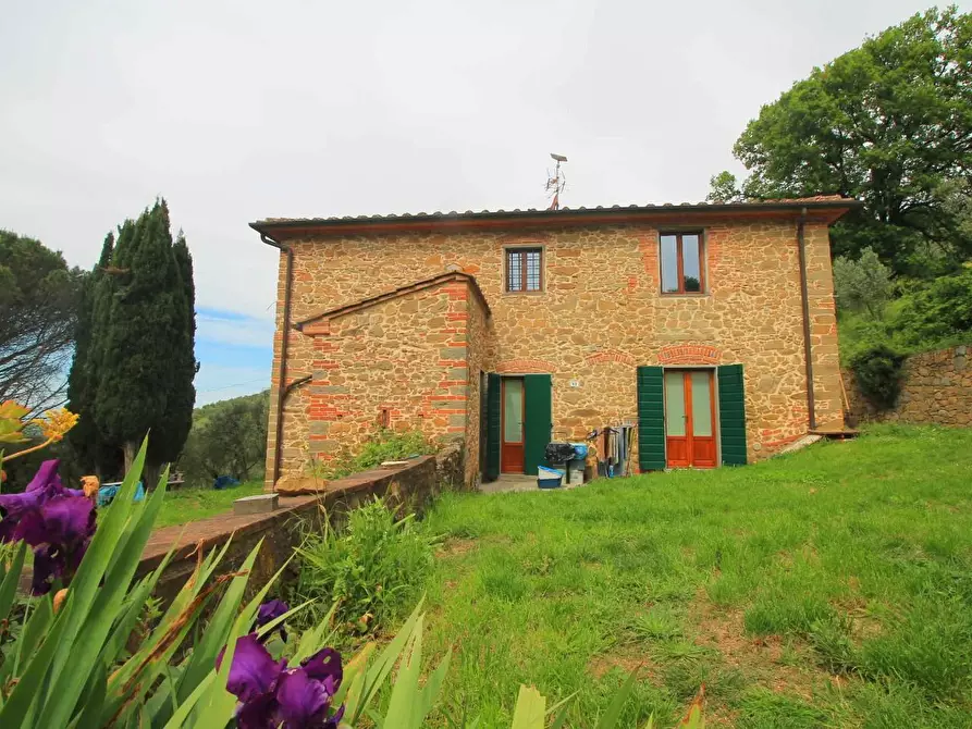 Immagine 32 di Casa colonica in vendita  a Vinci