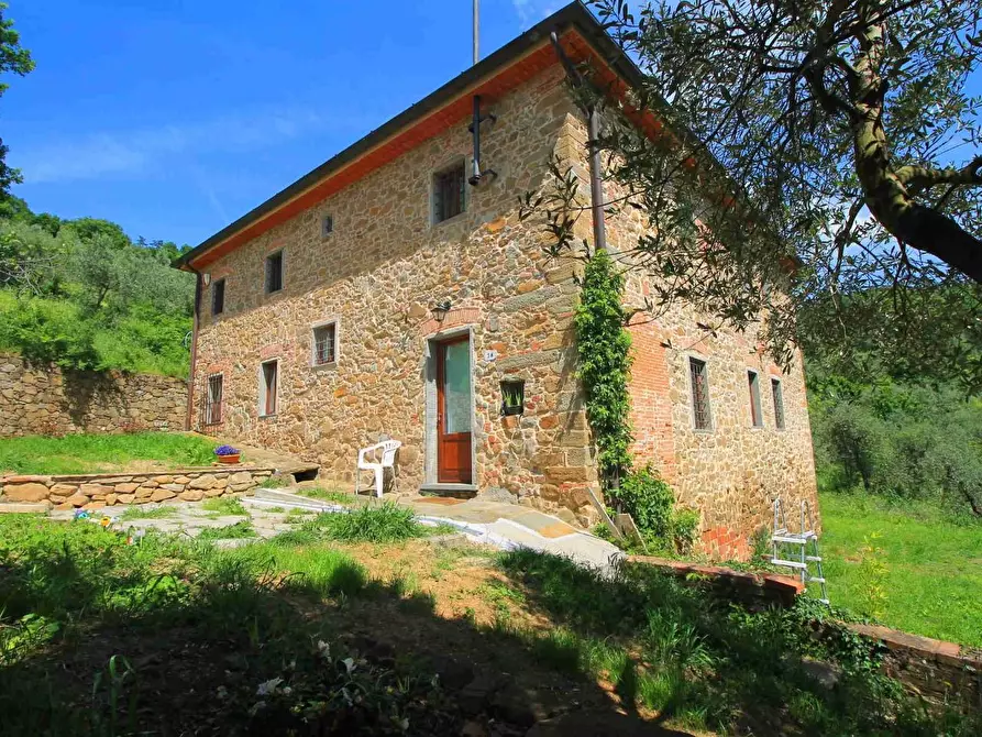 Immagine 3 di Casa colonica in vendita  a Vinci