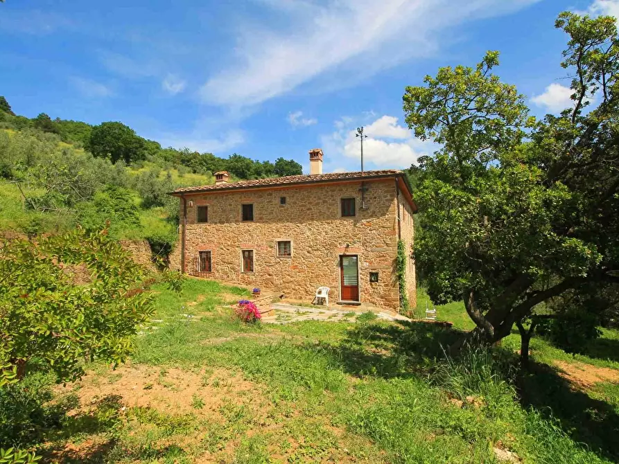 Immagine 41 di Casa colonica in vendita  a Vinci