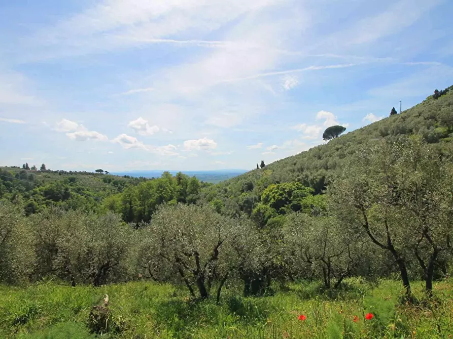 Immagine 40 di Casa colonica in vendita  a Vinci