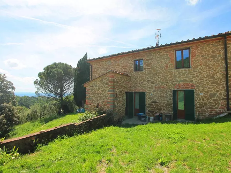 Immagine 38 di Casa colonica in vendita  a Vinci
