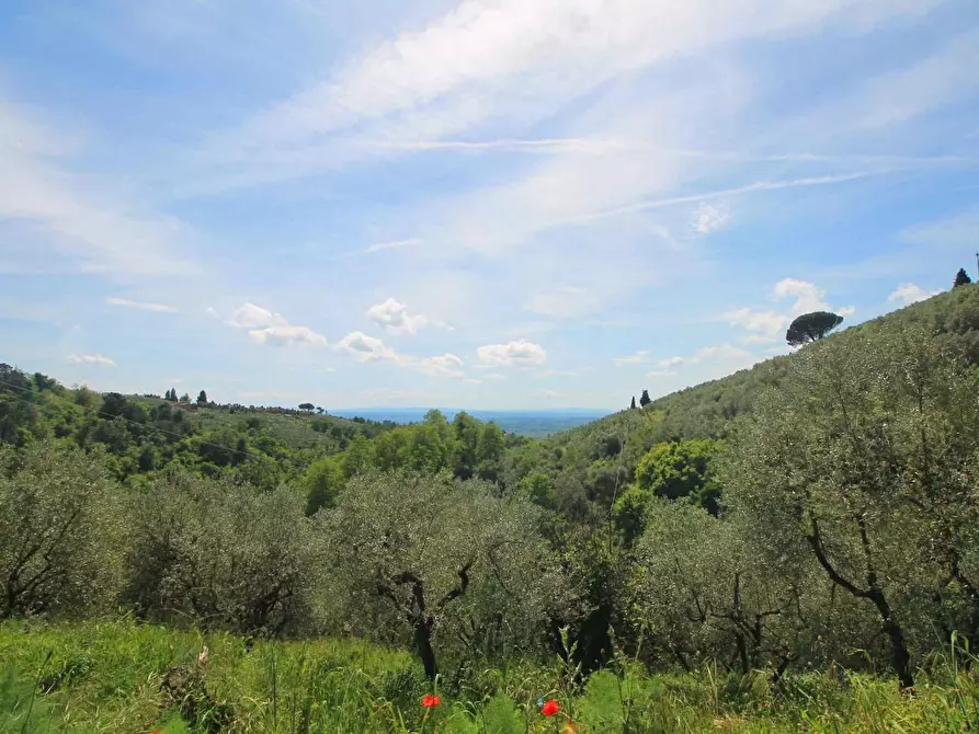Immagine 6 di Casa colonica in vendita  a Vinci