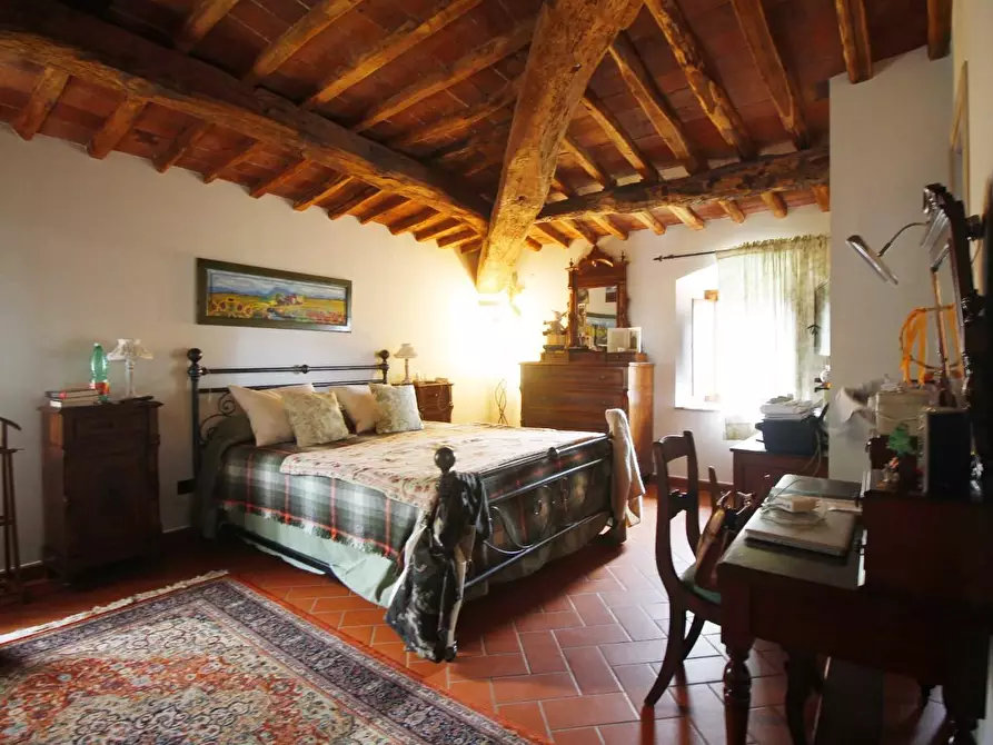 Immagine 29 di Casa colonica in vendita  a Vinci