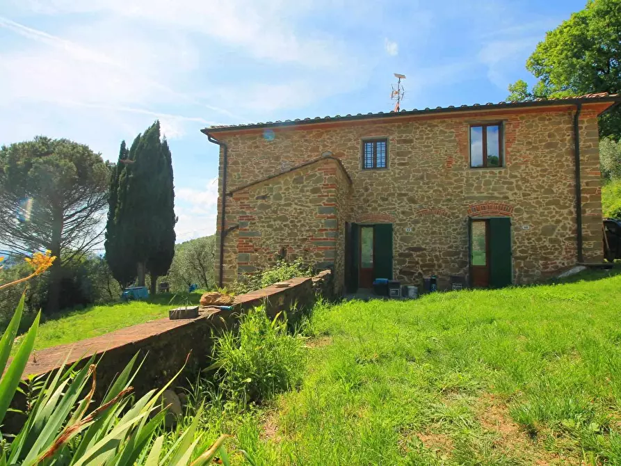Immagine 4 di Casa colonica in vendita  a Vinci