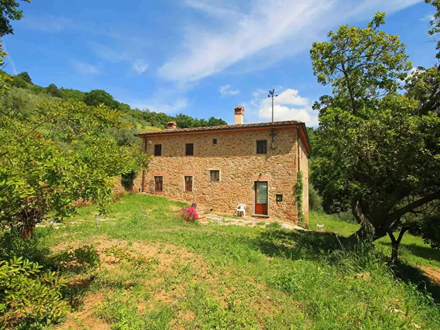 Immagine 42 di Casa colonica in vendita  a Vinci