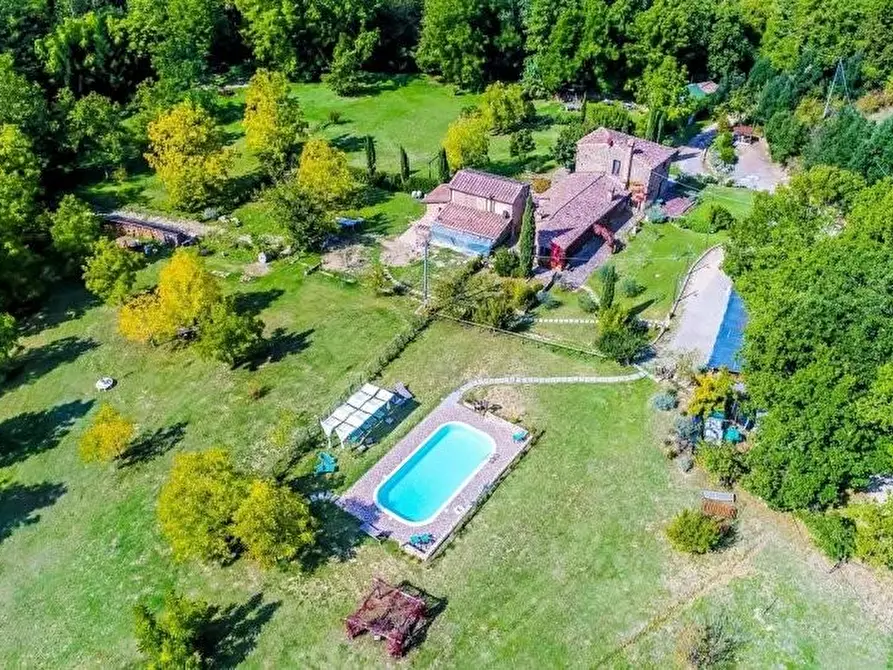 Immagine 3 di Casa colonica in vendita  a Montaione