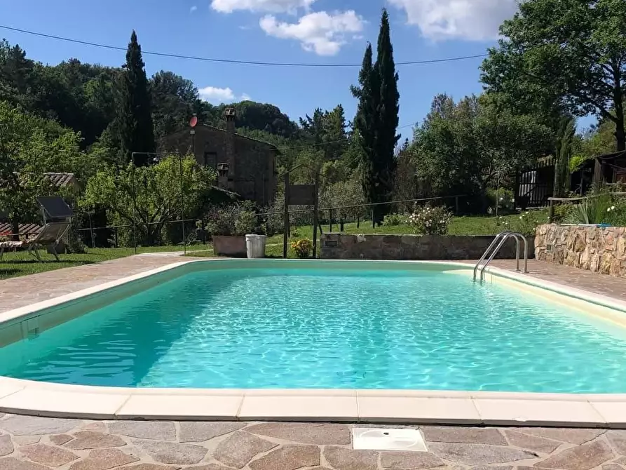 Immagine 12 di Casa colonica in vendita  a Montaione