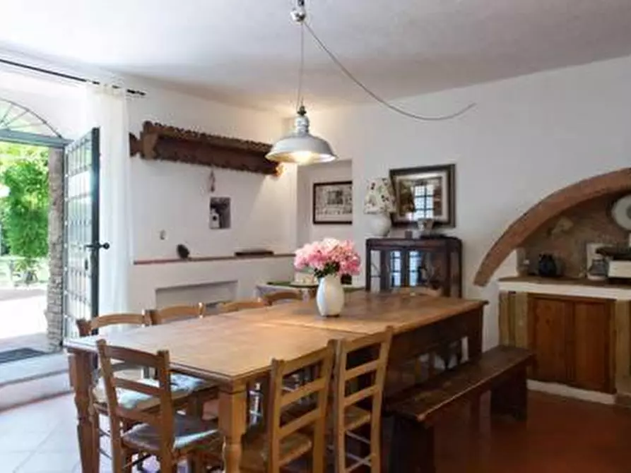 Immagine 18 di Casa colonica in vendita  a Montaione
