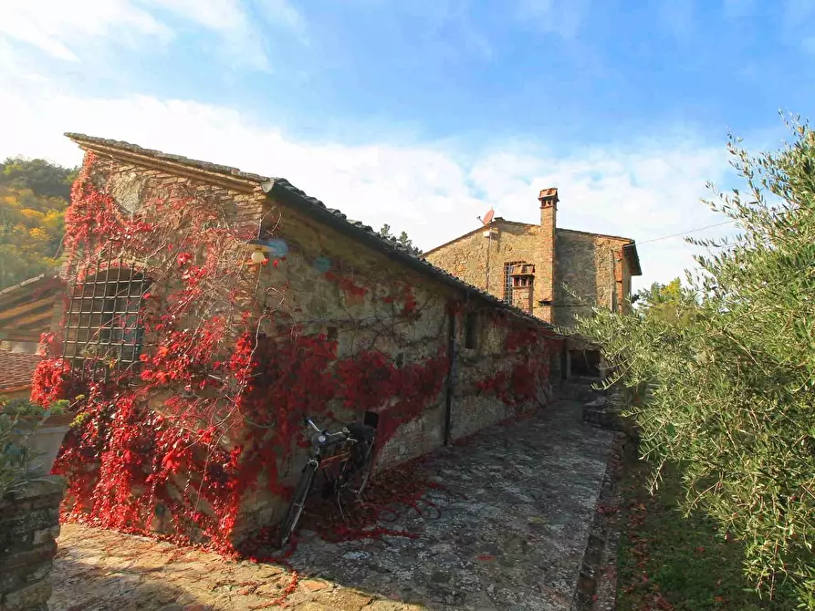 Immagine 9 di Casa colonica in vendita  a Montaione