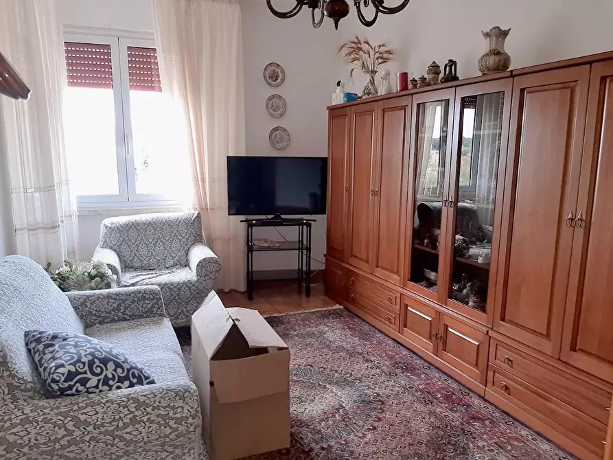 Immagine 3 di Appartamento in vendita  a Pisa