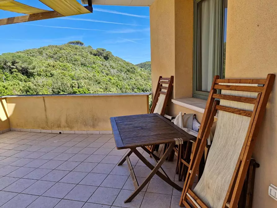 Immagine 14 di Appartamento in vendita  a Rio Marina