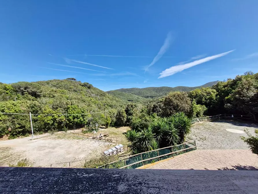 Immagine 11 di Appartamento in vendita  a Rio Marina