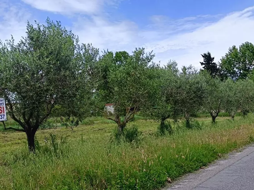 Immagine 1 di Terreno agricolo in affitto  a Cascina