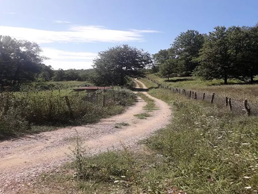 Immagine 1 di Terreno agricolo in vendita  a Bagnone