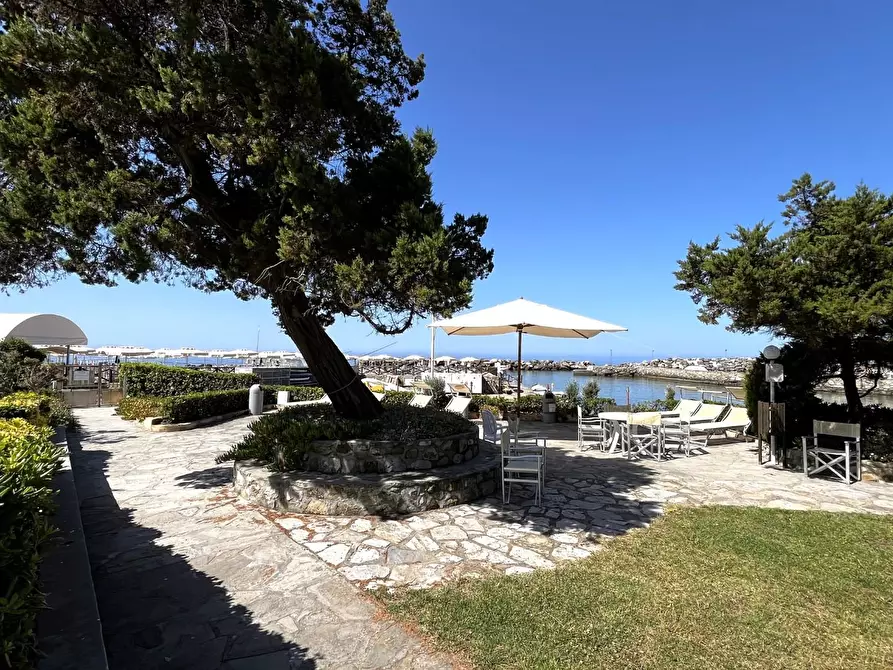 Immagine 2 di Appartamento in vendita  a Livorno