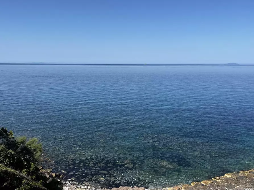 Immagine 13 di Appartamento in vendita  a Livorno