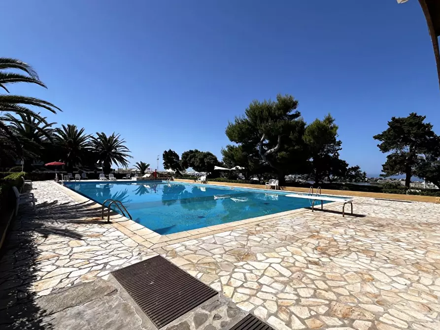 Immagine 4 di Appartamento in vendita  a Livorno