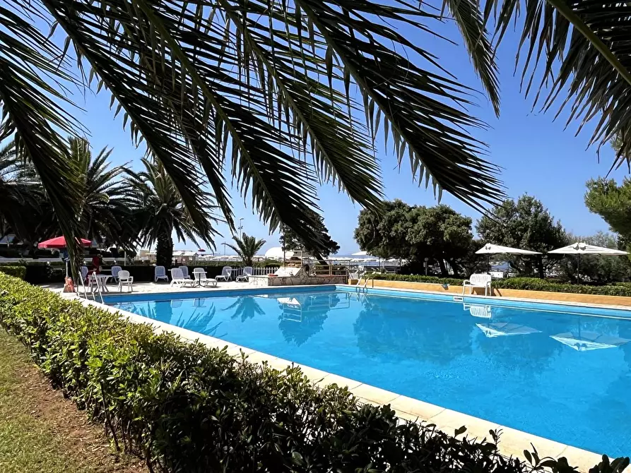 Immagine 3 di Appartamento in vendita  a Livorno