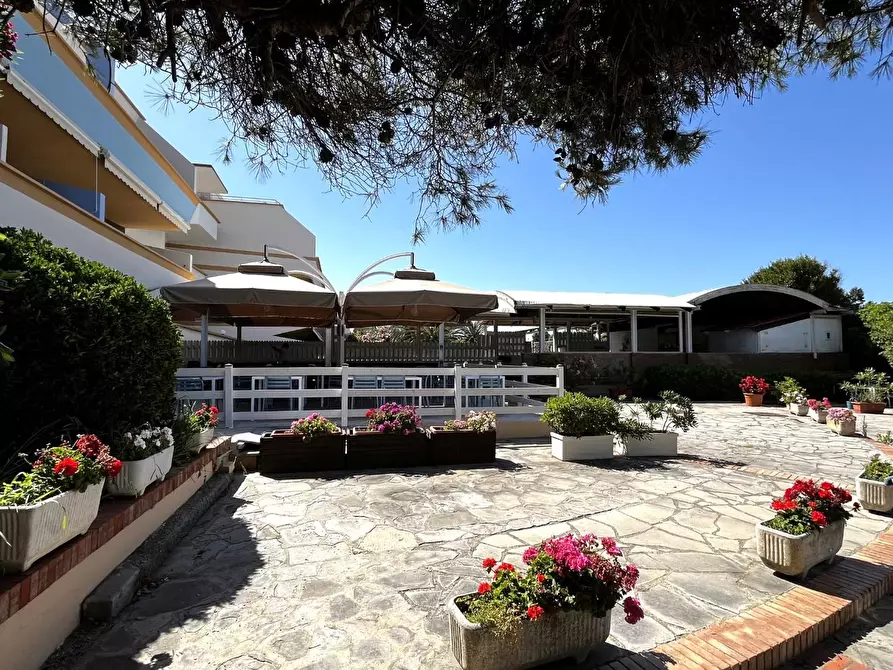 Immagine 9 di Appartamento in vendita  a Livorno