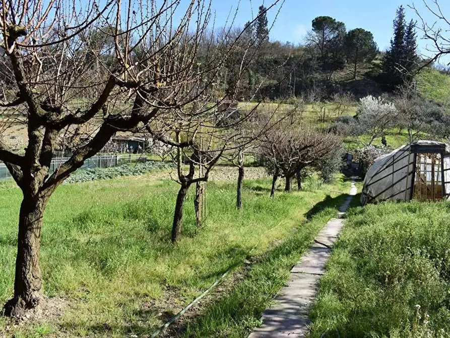 Immagine 3 di Villa in vendita  a Certaldo
