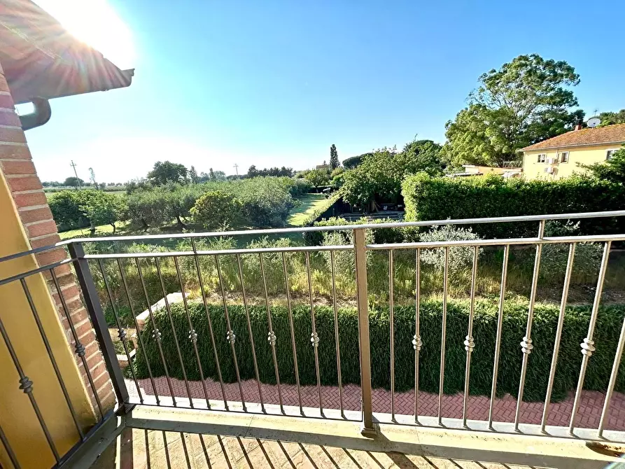 Immagine 11 di Villetta a schiera in vendita  a Crespina Lorenzana