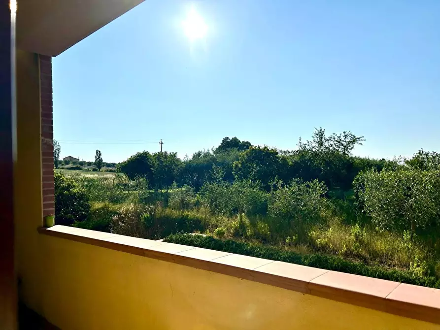 Immagine 7 di Villetta a schiera in vendita  a Crespina Lorenzana