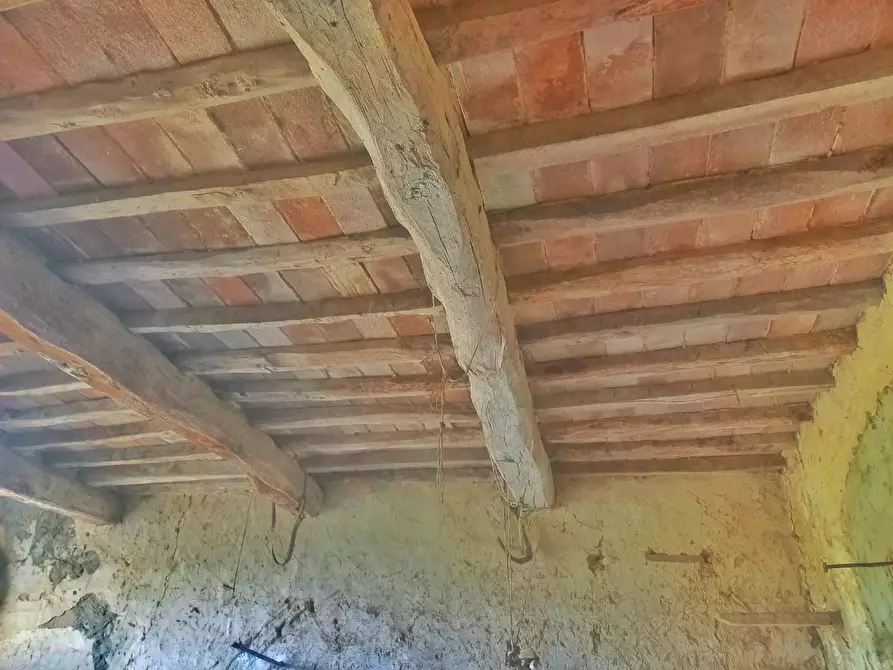 Immagine 11 di Deposito in vendita  a Montespertoli