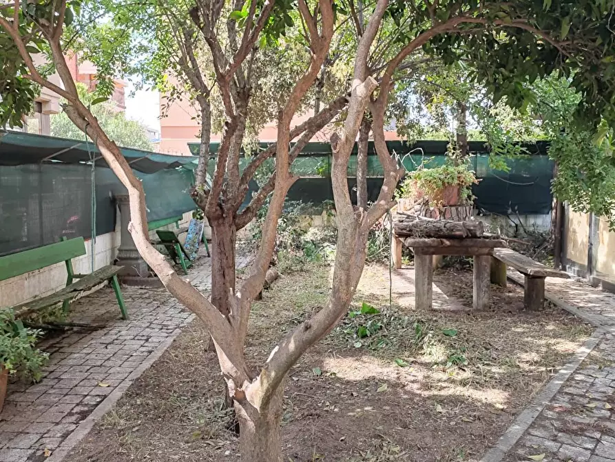 Immagine 18 di Villa in vendita  a Viareggio