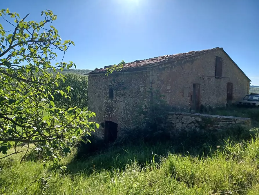 Immagine 40 di Casa colonica in vendita  a Casole D'elsa