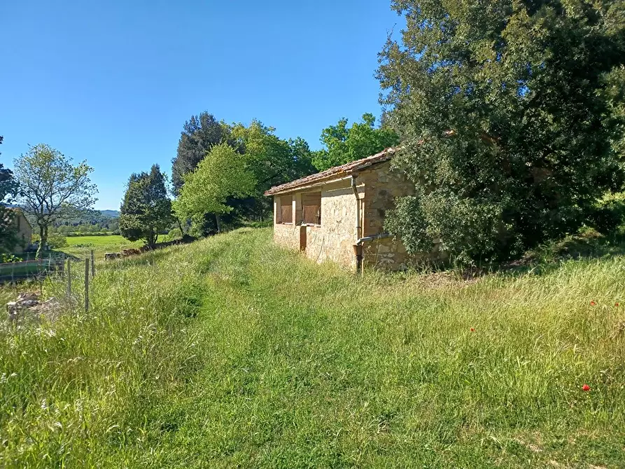 Immagine 42 di Casa colonica in vendita  a Casole D'elsa