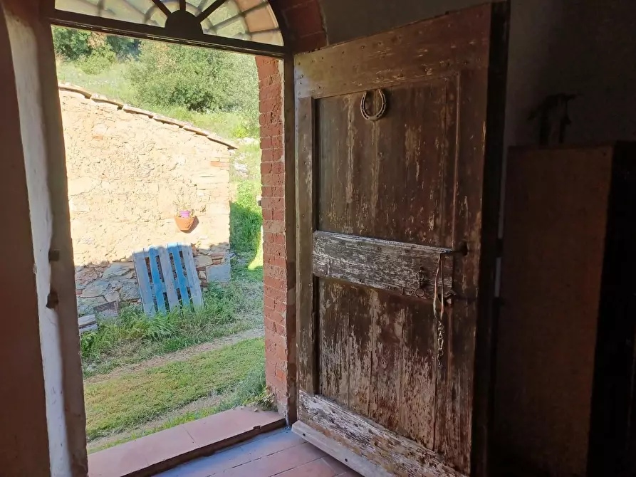 Immagine 23 di Casa colonica in vendita  a Casole D'elsa